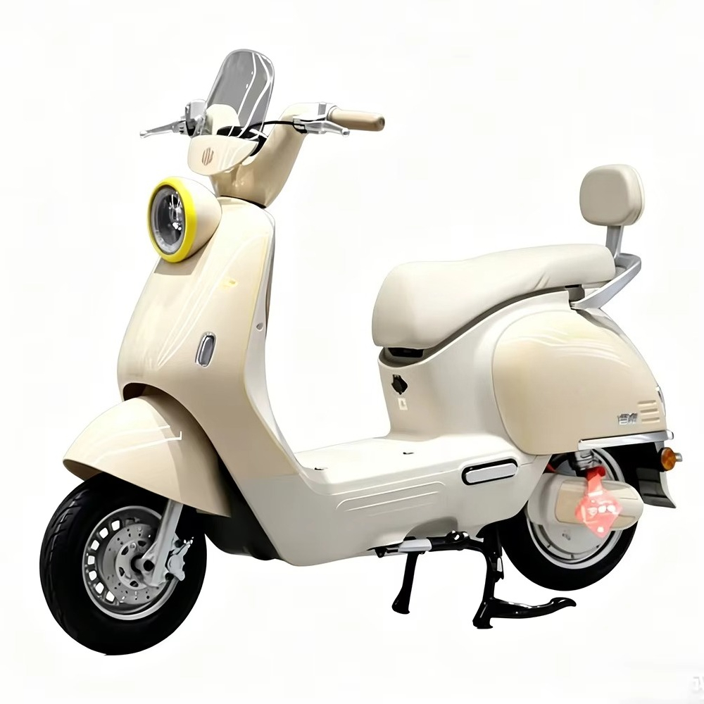 EER製、大人用電動バイク。ディスクブレーキ搭載。大人向けの - Brake Disc Motorcycle のレビューと価格